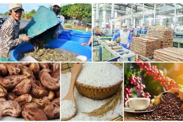 Các vấn đề kinh tế cơ bản của thị trường