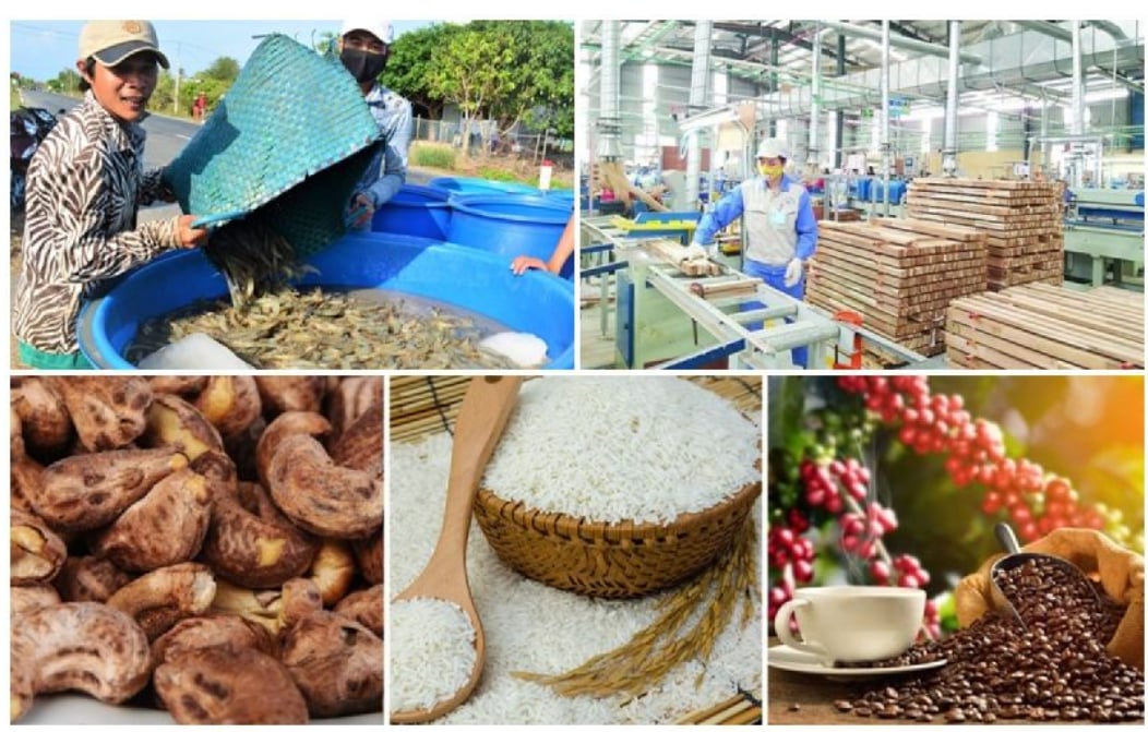 Các vấn đề kinh tế cơ bản của thị trường