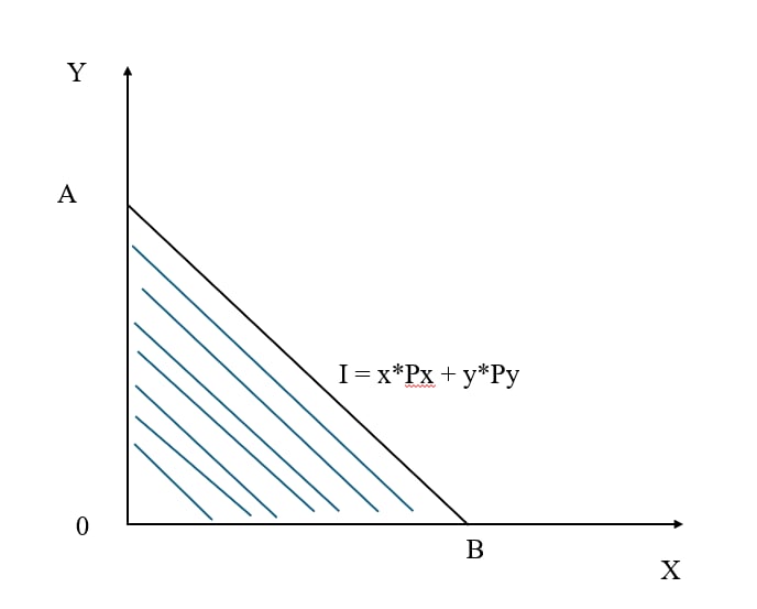 Đường ngân sách
