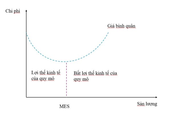 Lợi thế về kinh tế