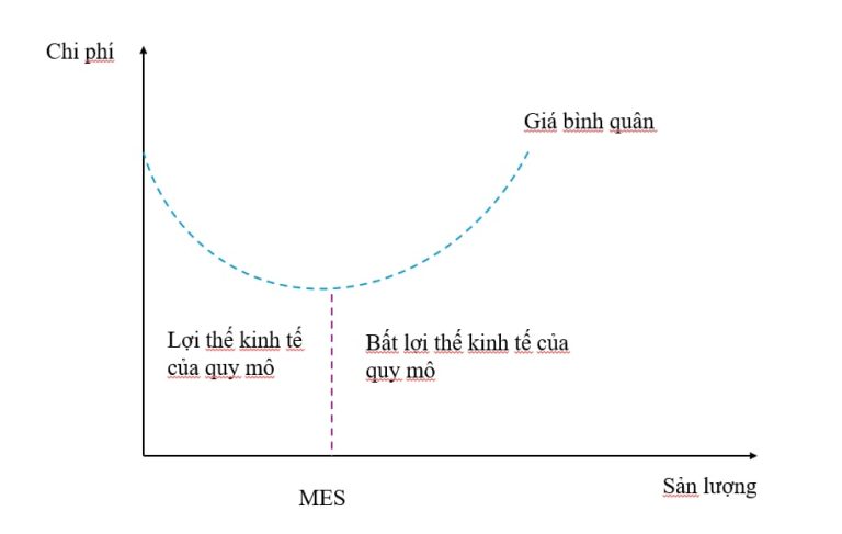 Lợi thế về kinh tế và bất lợi thế về kinh tế của quy mô