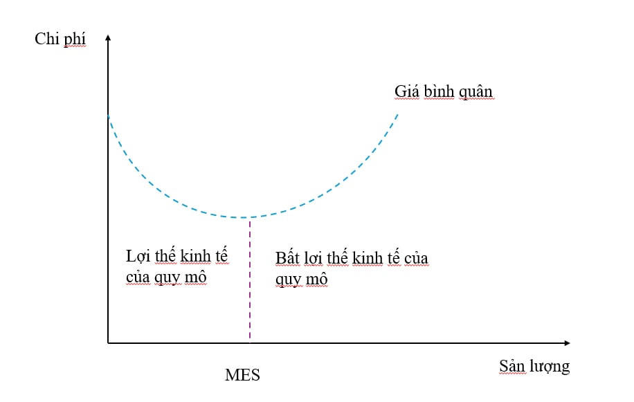 Lợi thế về kinh tế