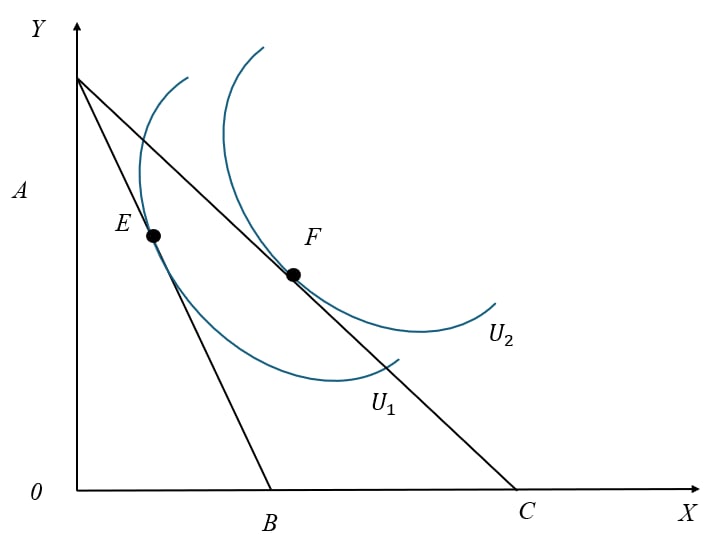 Sự lựa chọn của người tiêu dùng 1