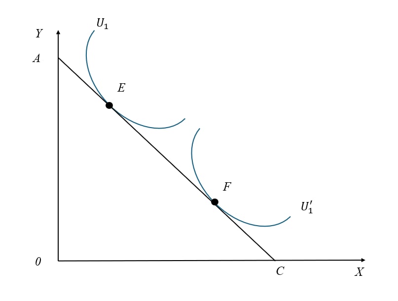 Sự lựa chọn của người tiêu dùng 3