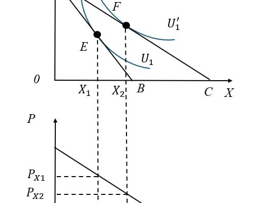 Lựa chọn của người tiêu dùng 4
