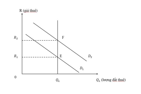 Thị trường đất đai